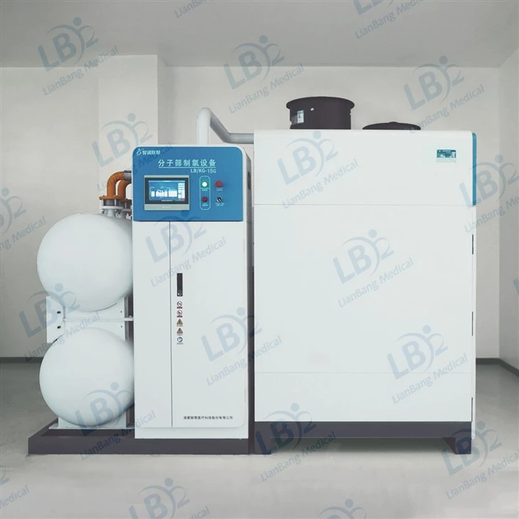 VSA Oxygen Generator VSA Oxygen Generator